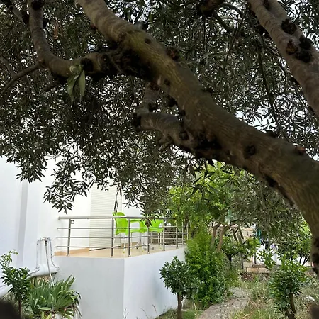 Anxhi Appartement *