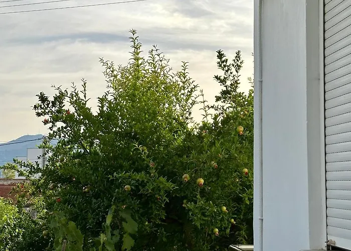 Anxhi Lejlighed Ksamil